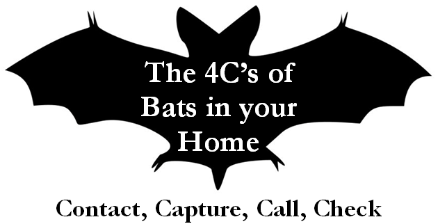 Bats 4C